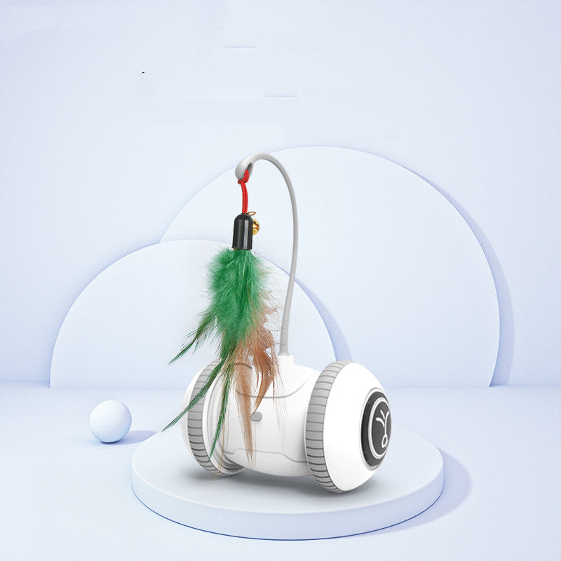 Chase Away Boredom with the Interactive Cat Toy Pet Feather Toys!